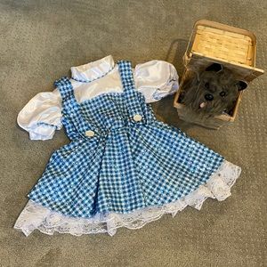 2t-3t Dorothy costume with Toto in basket